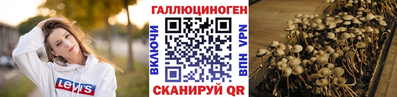 Галлюциногенные грибы GOLDEN TEACHER  закладки  Приволжский 